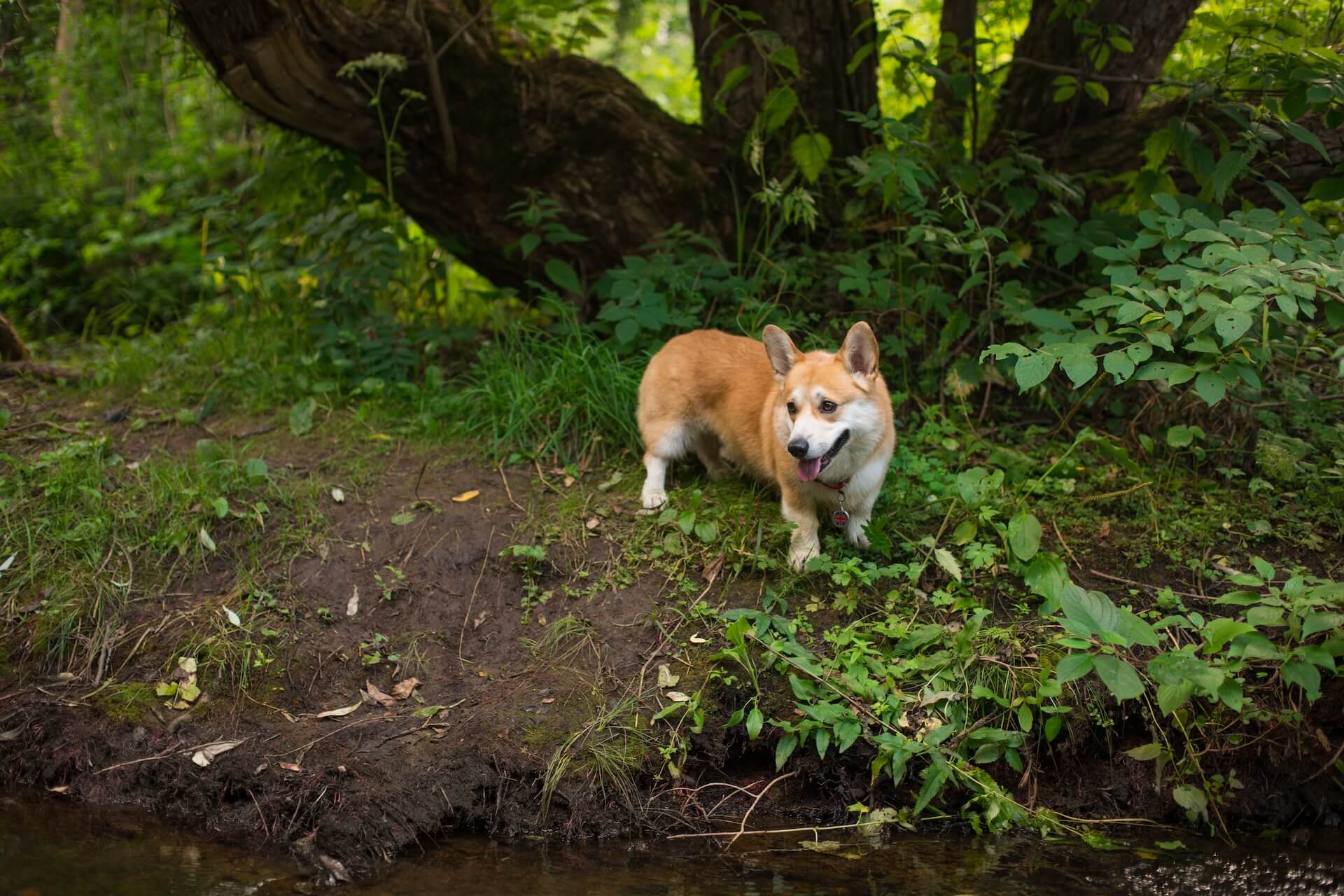 shutterstock_1162246144