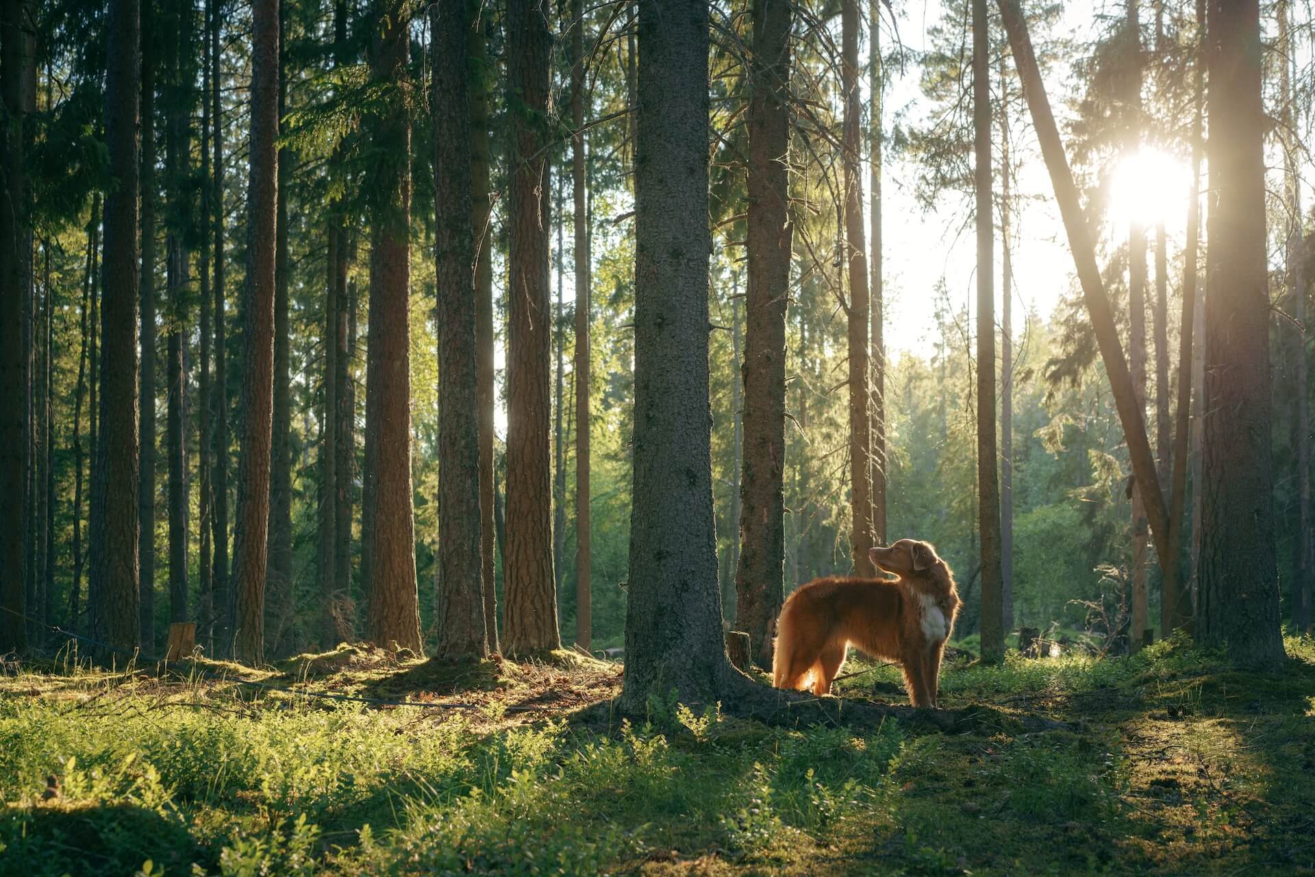 shutterstock_2257413693