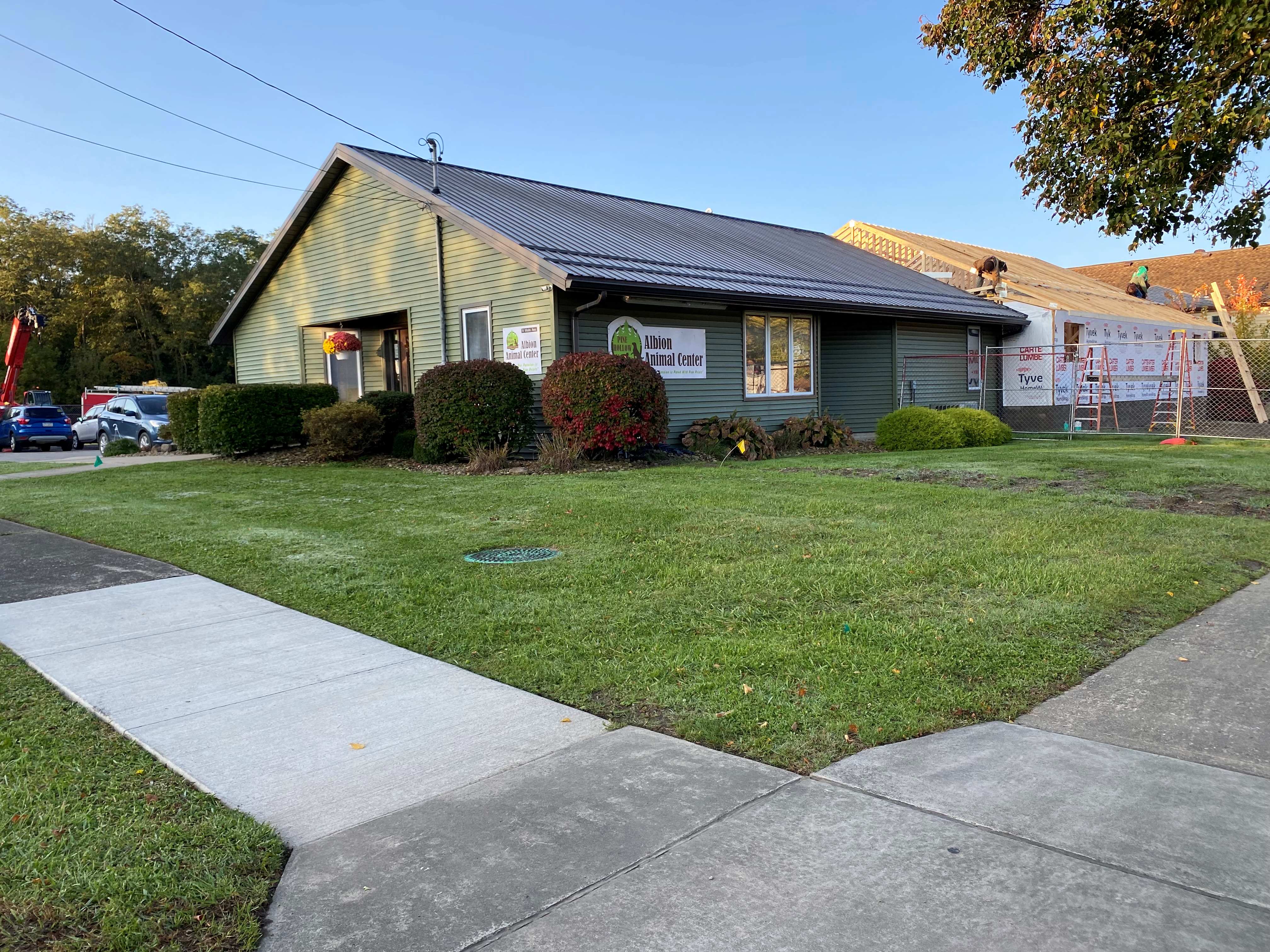 Albion Animal Center