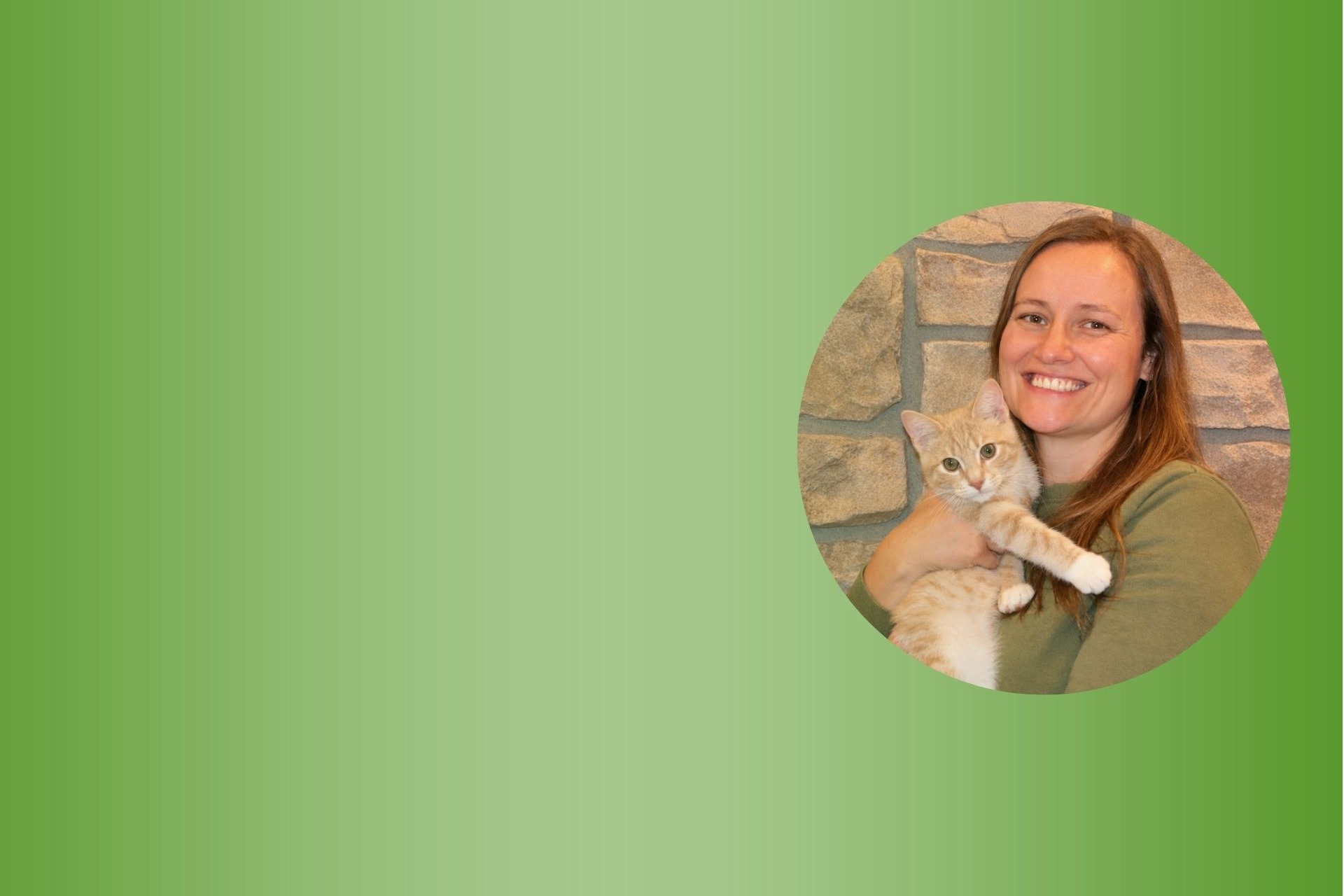Top Rated Veterinarians in Albion