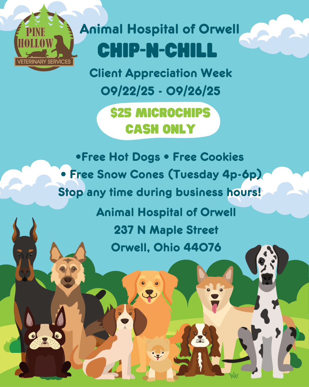 Chip and Chill Event Flyer