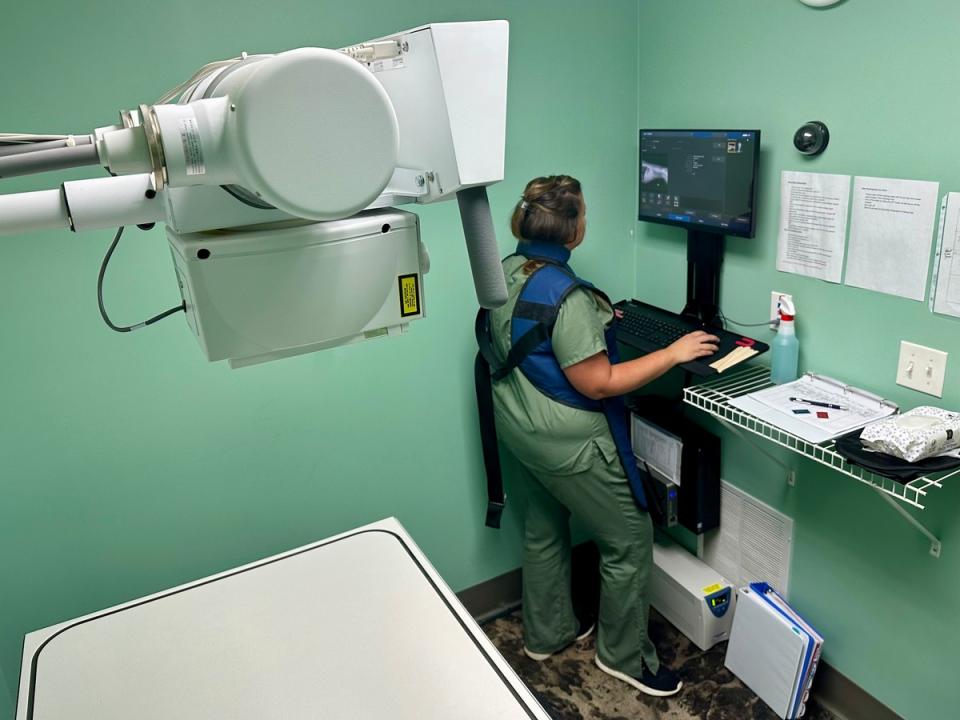 Radiology