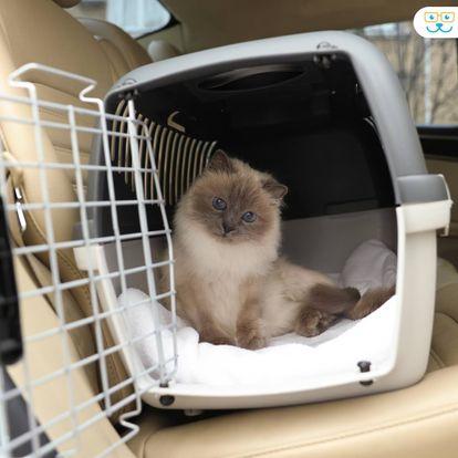 Siamese cat carrier
