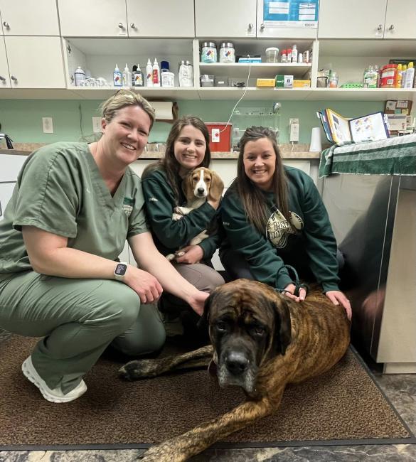 Animal Hospital of Orwell Samantha Justine Erica