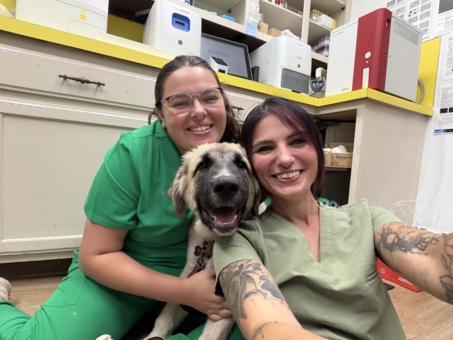 Western Reserve Animal Clinic staff