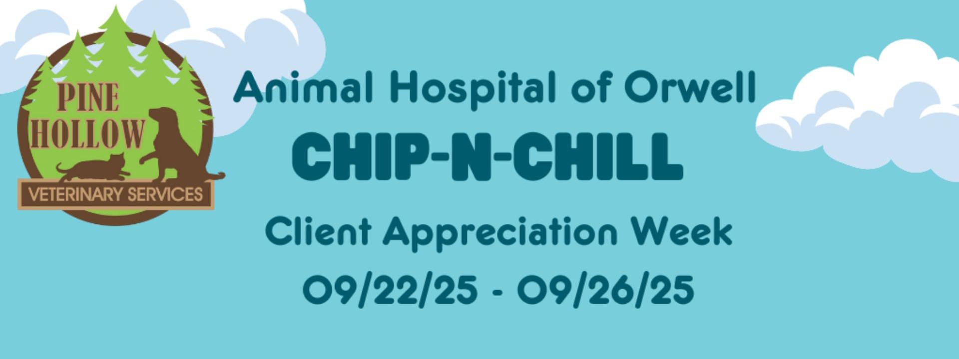 ChipNChill
